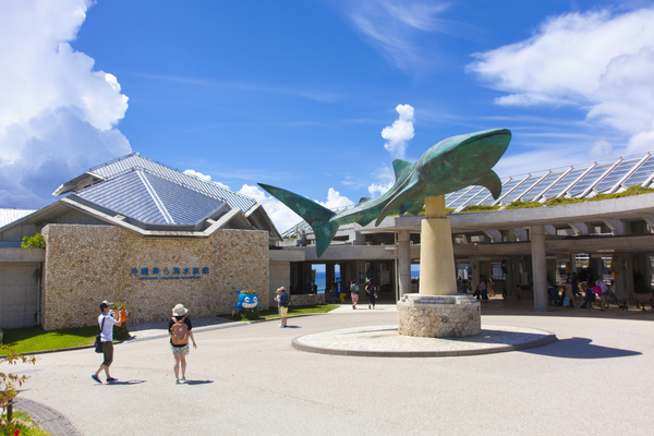 美ら海水族館の入り口